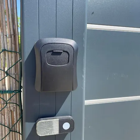 Bois * Torcy-le-Petit (Aube)